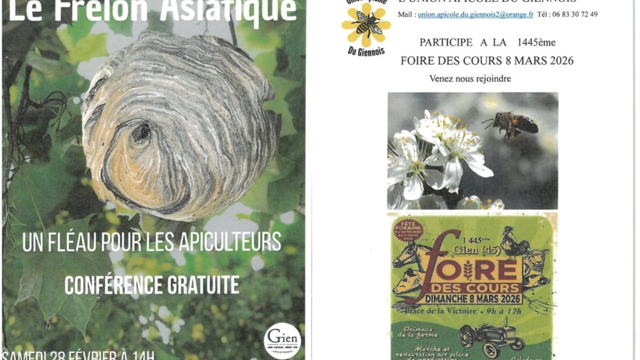 b9c059b0d72b6328992ce3fc55184bb8_lutte-cont