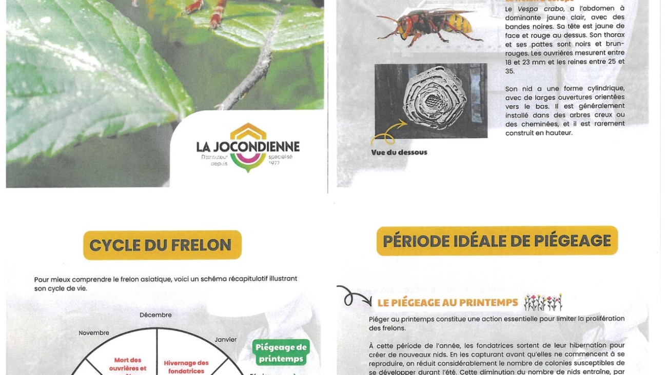 4a9c6011dc5f429a9883f06867f8bd42_frelon-asi